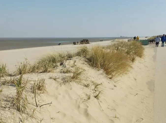 Trafalgar 133 * Куксхафен